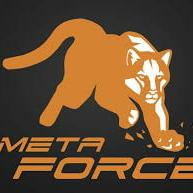 ?〰️Meta force 〰️?