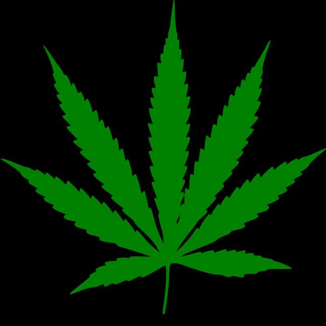 අපි සෙක්ස් ජූස් බොමු