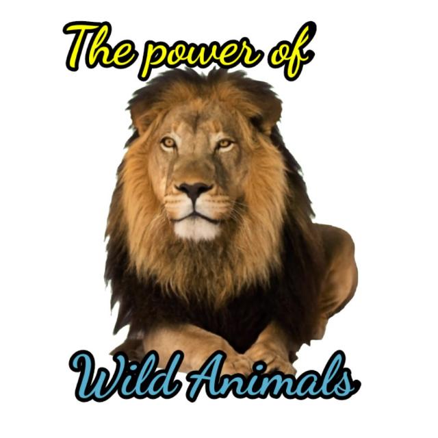 Wild Animals ?