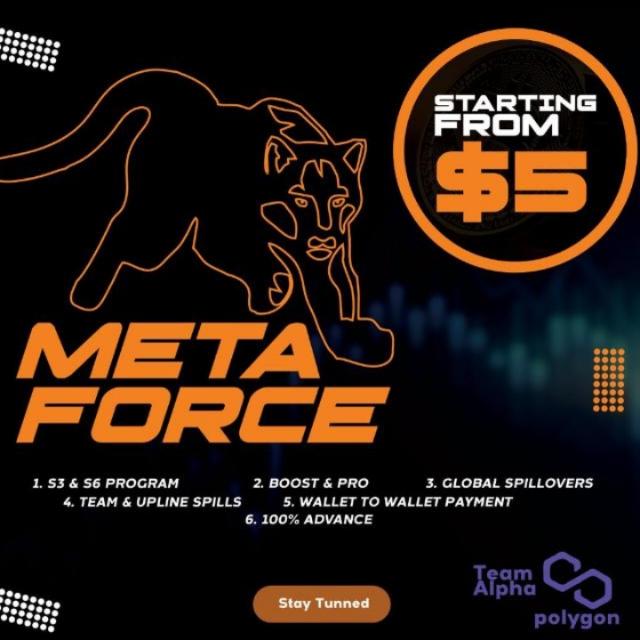 Meta force ?