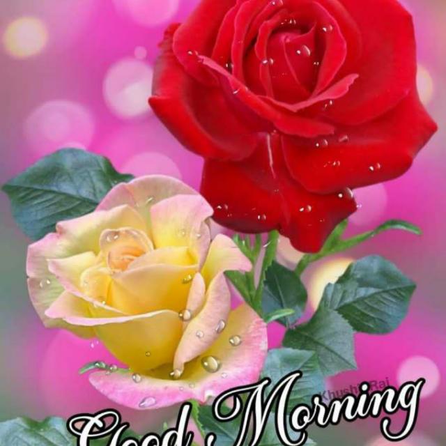 Pooja b d