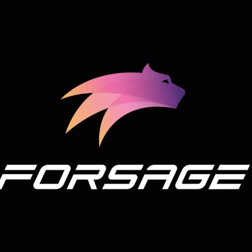 Forsage earn money 