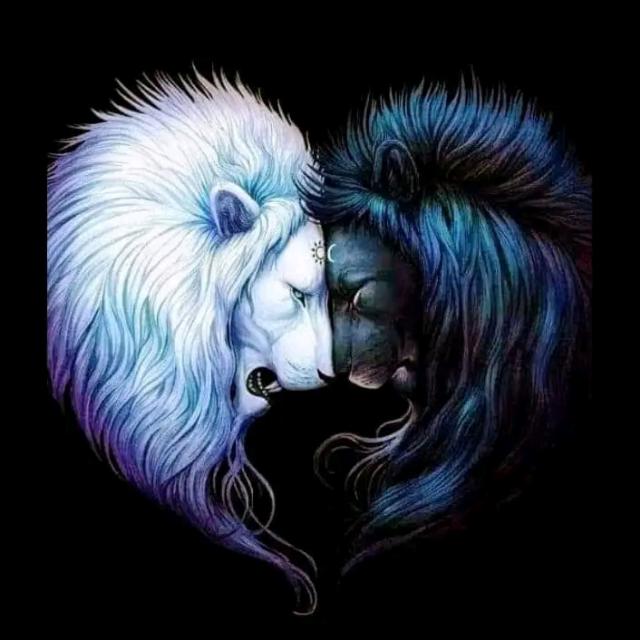 FRIENDS ...?❤️?
