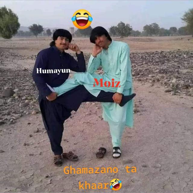 ? logo hai  ?