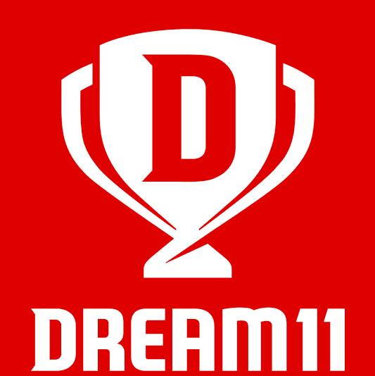 Dream11 wining ?