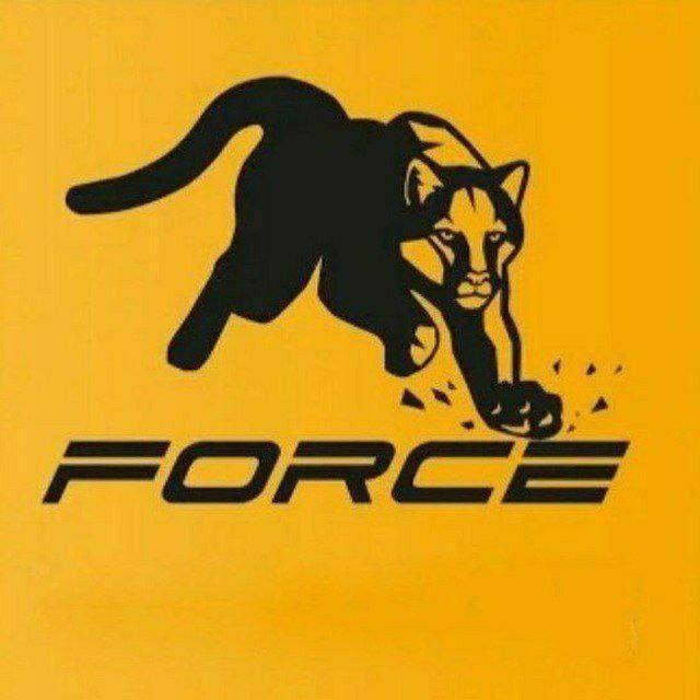 Forsege to force Lifetime