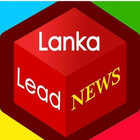 LLN NEWS #11