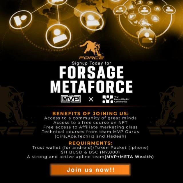 ?Meta force earning NFT??
