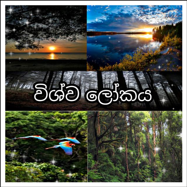 ??☀️?විශ්ව ලෝකය???