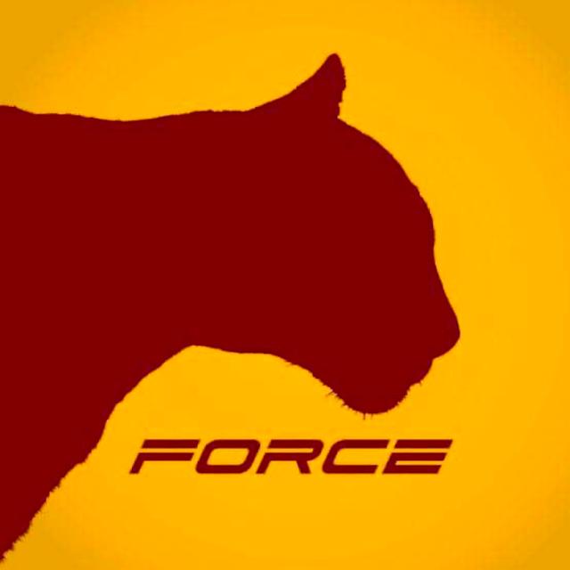 WE ARE FORCE 