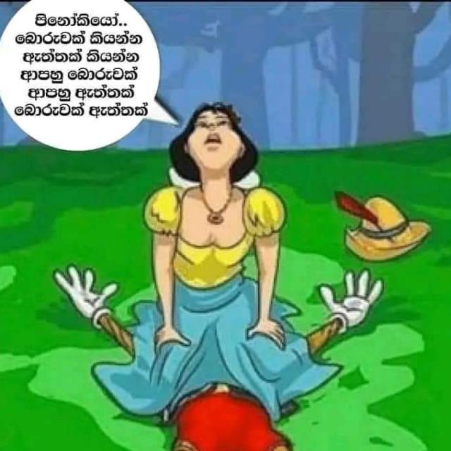 ?❤️ජිල් ???❤️?