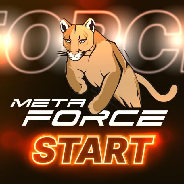 Force Coin Whatsapp group