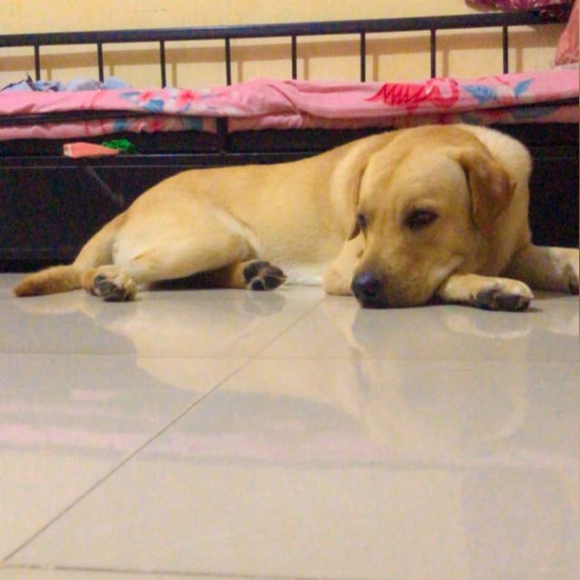 Itsmecharlie ?