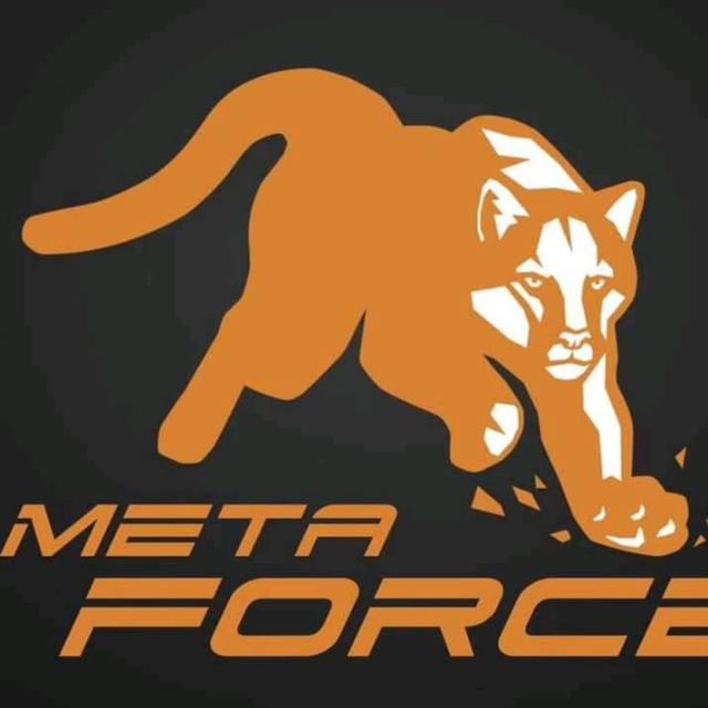 METAFORCE NG