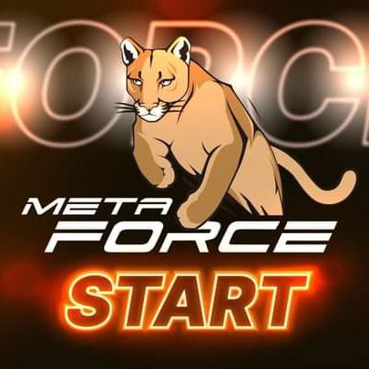 Meta FORCE ? Official ?