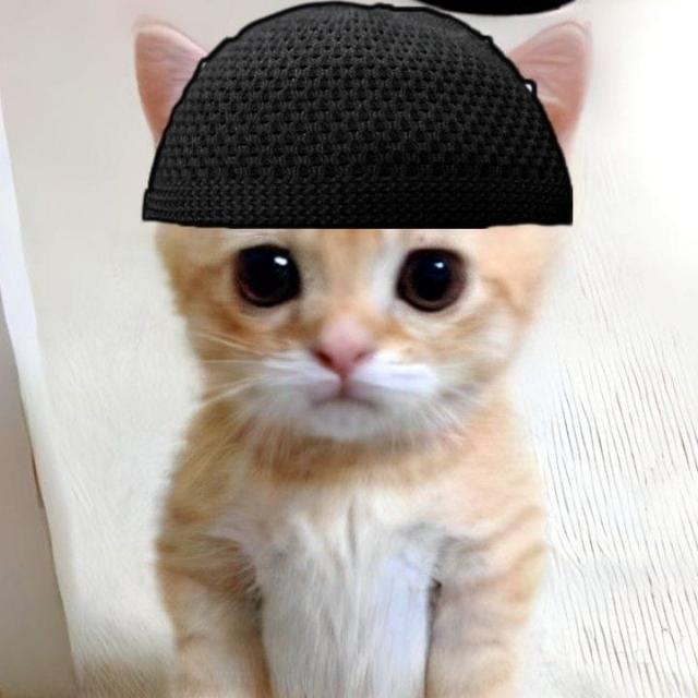 Jb³ RYSZ