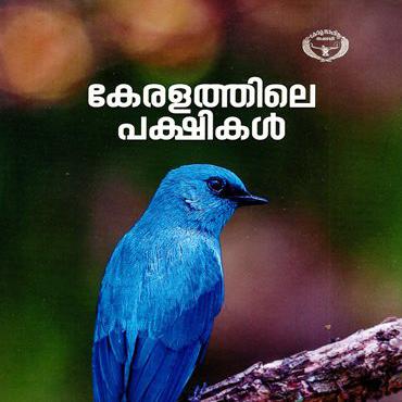 പക്ഷികൾ