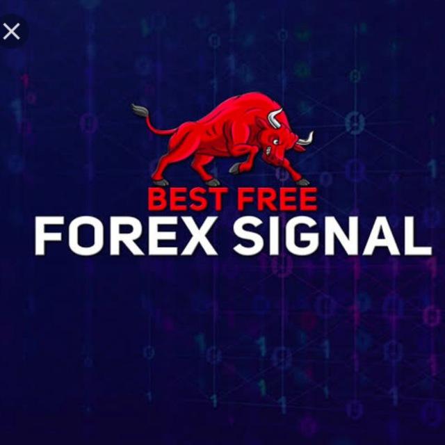 ô ViP PAID SIGNALS ROOM Whatsapp group
