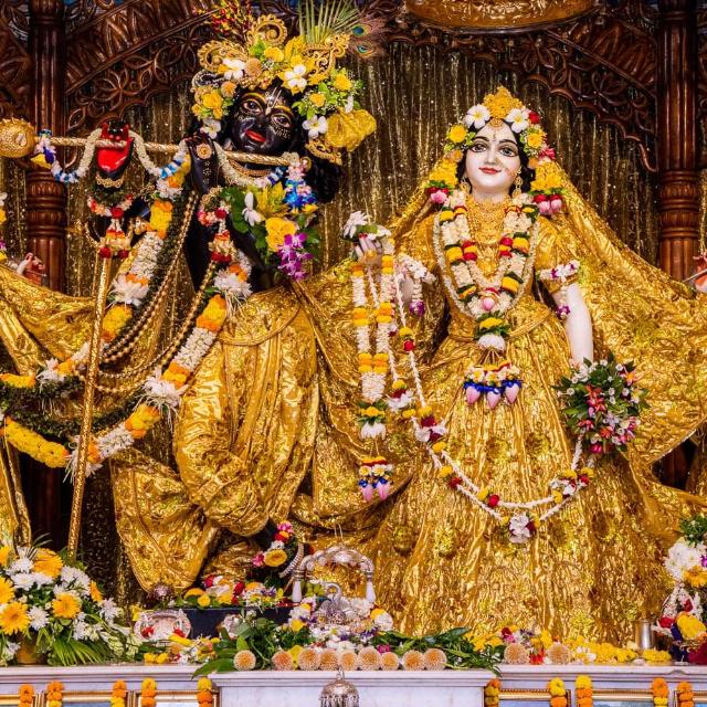 Radhe krishna?