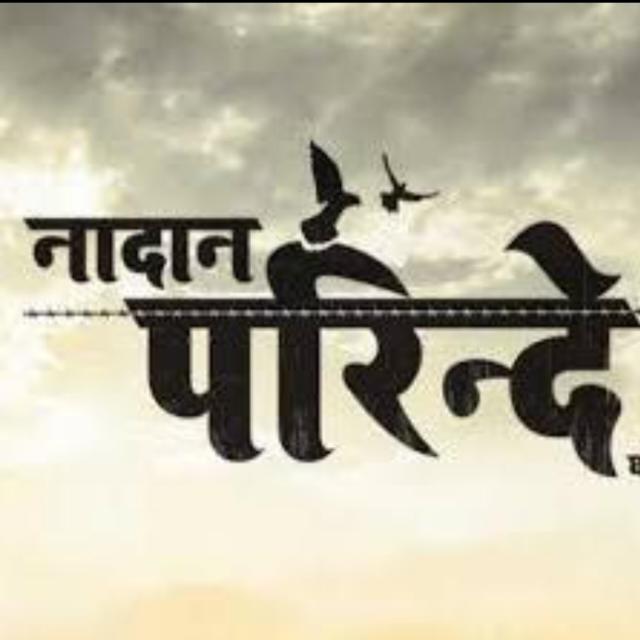 ⚔⚜नादान परिंदे⚜ ⚔