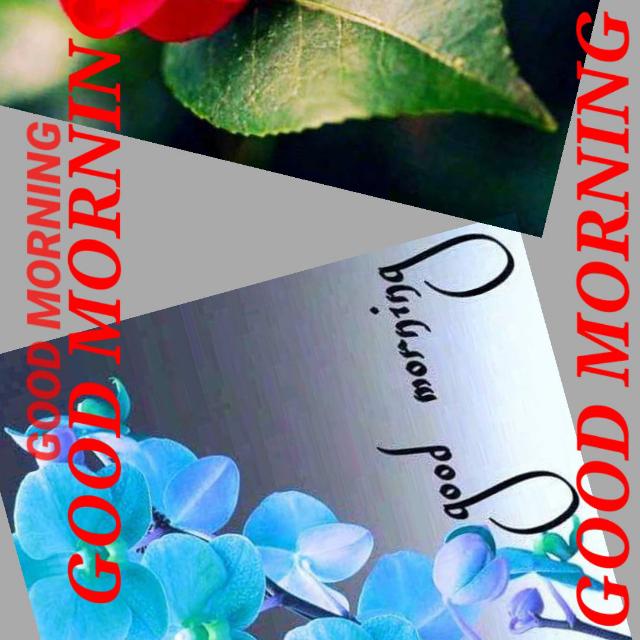 Subscribe 