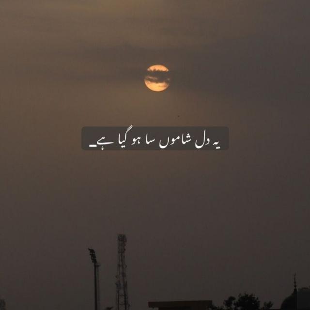اردو ادب شاعری ??