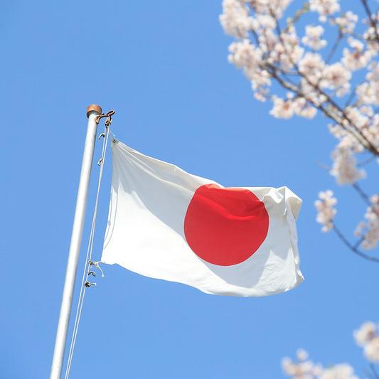 Japan course (JLPT) ??
