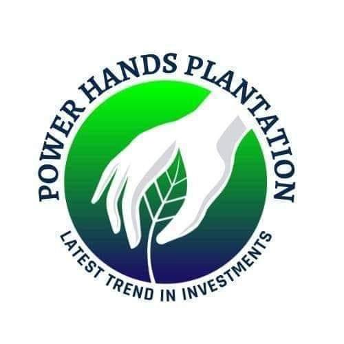 POWER HANDS