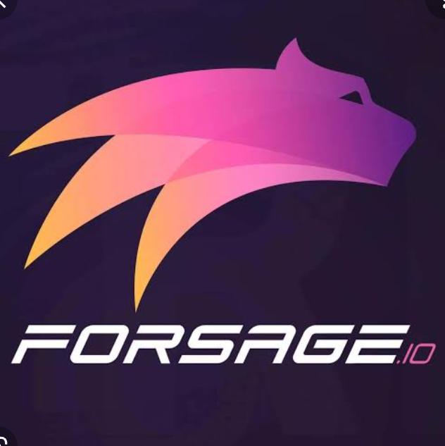 ??? Forsage Team  24???