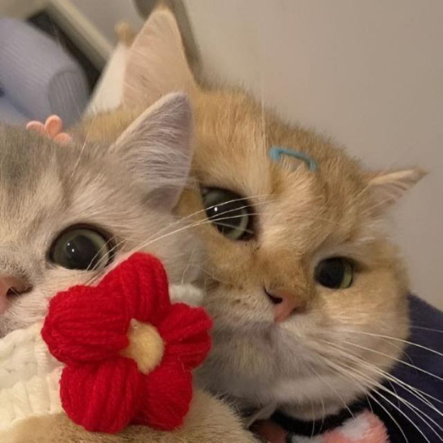 3️⃣FRIENDS?ONLY???????