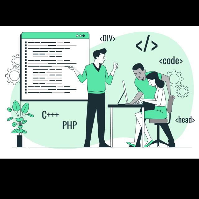 Web development project