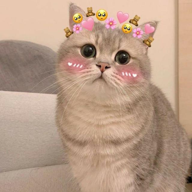 ?&nbsp;?&nbsp;?&nbsp; ?&nbsp;?&nbsp;?&nbsp;?&nbsp; 2??