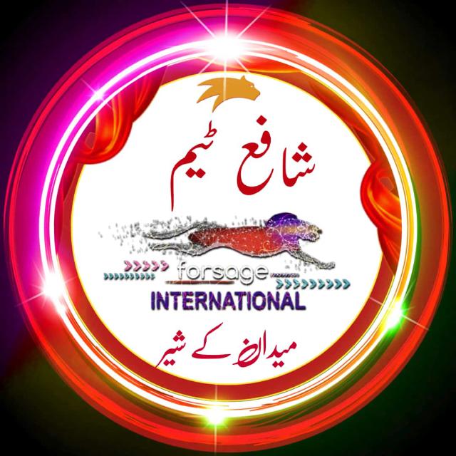 Online earning with SiDra Noor