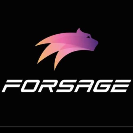 FIRE ?FORSAGE TEAM