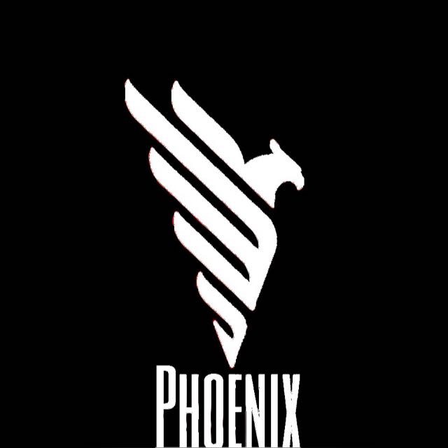 PHOENIX ACC STORE ✅
