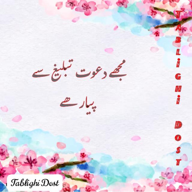 ??..تبلیغی دوست..??