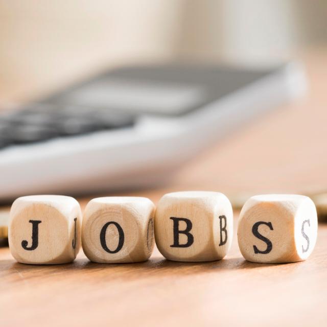 Sarkari job alert
