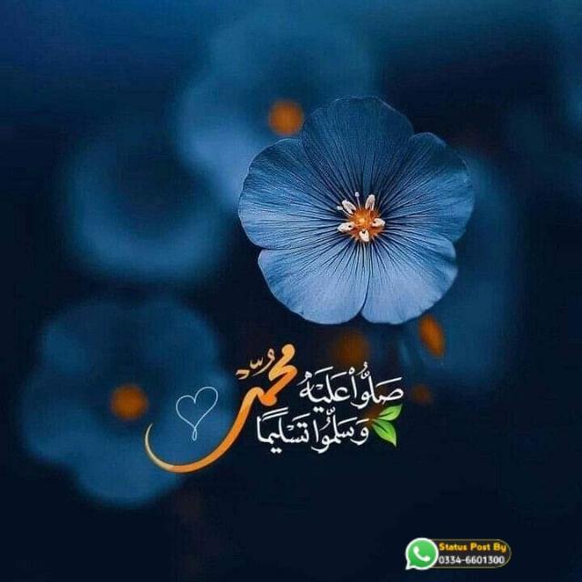 Islamic Daily Updates