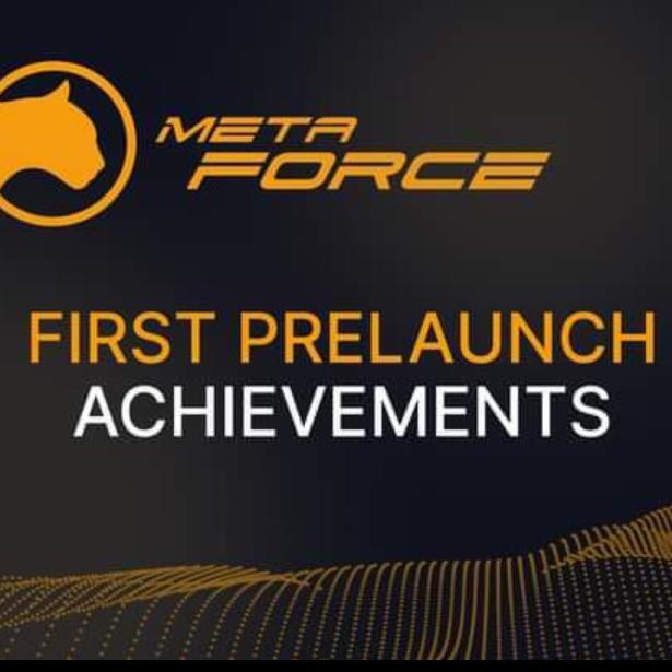 Meta force Project?