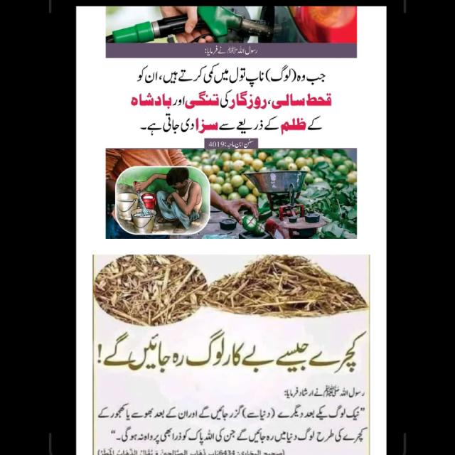 Dawat e Islam