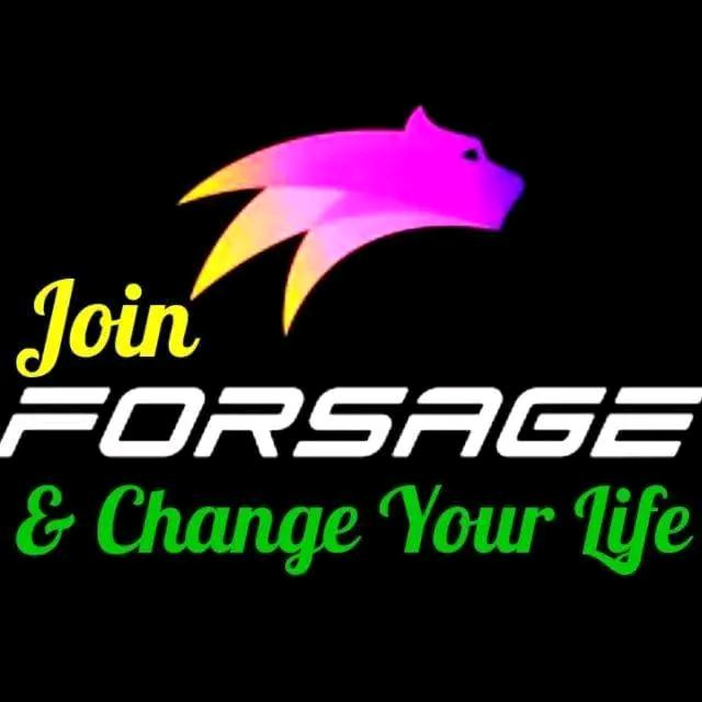 Forsage team
