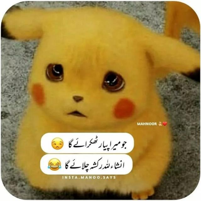 Full Enjoy