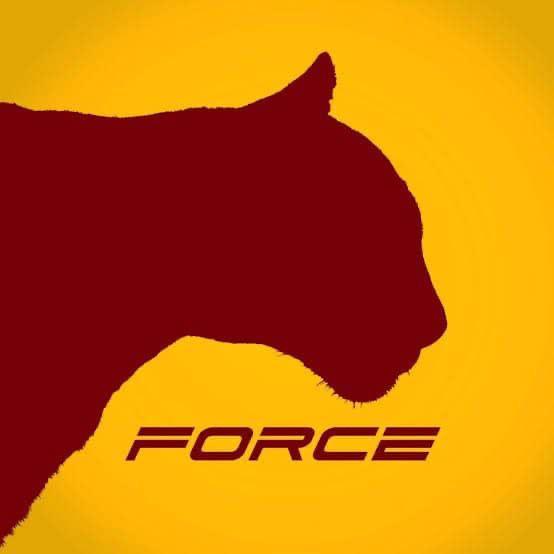 Team Metaforce (A.I)