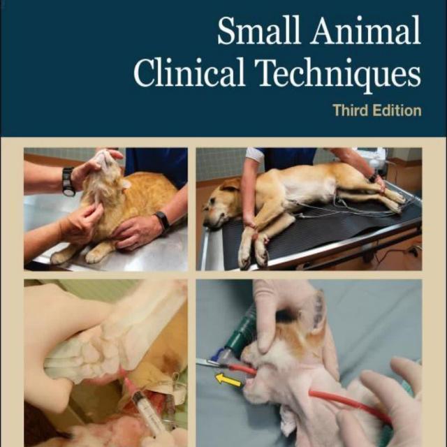 Veterinary Discussion Whatsapp group