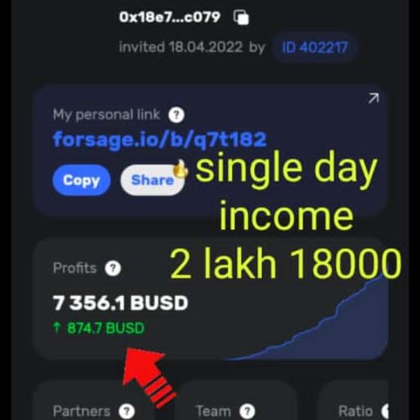 Forsage busd platform 