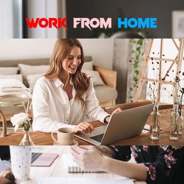  WORK FROM HOME JOB ??