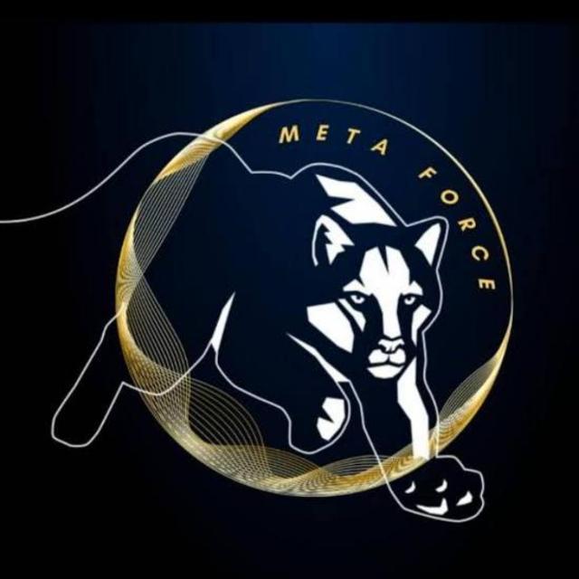 Meta Force Online Earning ?