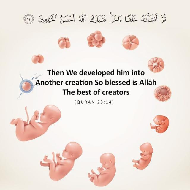 قرآن اور سائنس ??