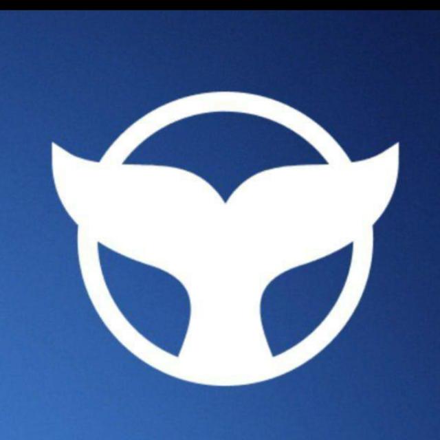 Meta whale smart contract ???