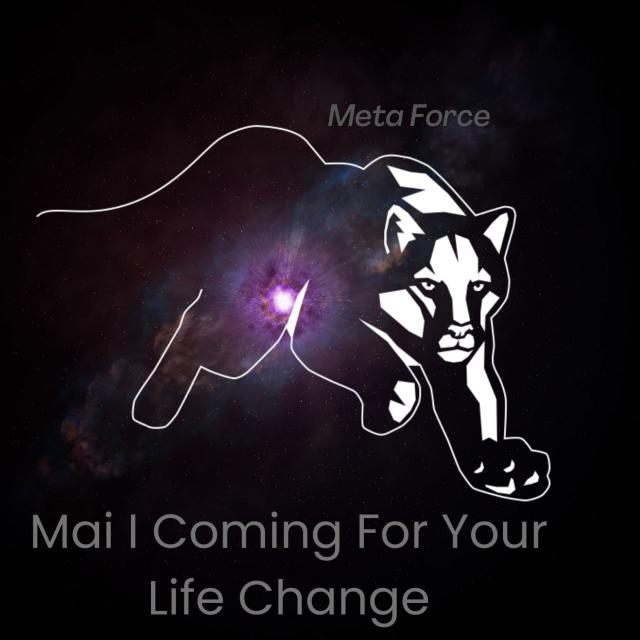 META FORCE BLOCK CHAN 